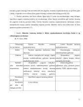 Kineziterapijos metodų veiksmingumas esant blauzdos raumenų ilgio nepakankamumui 11 puslapis