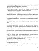 Kineziterapijos metodų veiksmingumas esant blauzdos raumenų ilgio nepakankamumui 7 puslapis