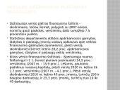 Kapitalo importas. Pagrindiniai kapitalo importuotojai 2 puslapis