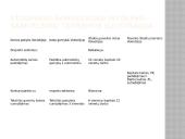 Kapitalo importas. Pagrindiniai kapitalo importuotojai 11 puslapis