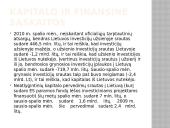 Kapitalo importas. Pagrindiniai kapitalo importuotojai 13 puslapis