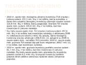 Kapitalo importas. Pagrindiniai kapitalo importuotojai 15 puslapis