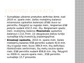 Kapitalo importas. Pagrindiniai kapitalo importuotojai 17 puslapis