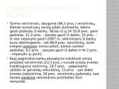 Kapitalo importas. Pagrindiniai kapitalo importuotojai 3 puslapis