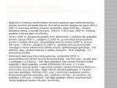 Kapitalo importas. Pagrindiniai kapitalo importuotojai 4 puslapis