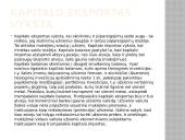 Kapitalo importas. Pagrindiniai kapitalo importuotojai 6 puslapis