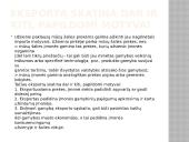 Kapitalo importas. Pagrindiniai kapitalo importuotojai 7 puslapis