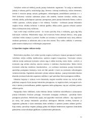 Lengvojo ir sunkaus svorio boksininkų saugus fizinis paruošimas 11 puslapis