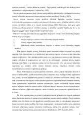 Lengvojo ir sunkaus svorio boksininkų saugus fizinis paruošimas 4 puslapis