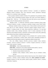 Lietuvos bankų mokėjimo kortelių analizė 2 puslapis