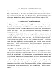 Lietuvos bankų mokėjimo kortelių analizė 4 puslapis