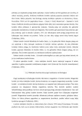 Lietuvos bankų mokėjimo kortelių analizė 6 puslapis