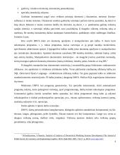 Lygiagrečiosios duomenų valdymo sistemos 4 puslapis