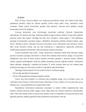 Mokesčių mažinimo galimybės panaudojant laisvasias ekonomines zonas 2 puslapis