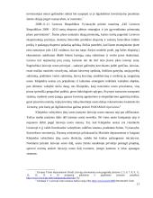 Mokesčių mažinimo galimybės panaudojant laisvasias ekonomines zonas 11 puslapis