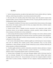 Mokesčių mažinimo galimybės panaudojant laisvasias ekonomines zonas 13 puslapis