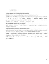 Mokesčių mažinimo galimybės panaudojant laisvasias ekonomines zonas 15 puslapis