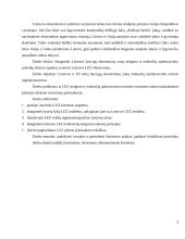 Mokesčių mažinimo galimybės panaudojant laisvasias ekonomines zonas 3 puslapis