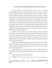 Mokesčių mažinimo galimybės panaudojant laisvasias ekonomines zonas 4 puslapis