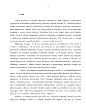 Naktinio klubo pramoginių renginių rinkodaros ypatybės 2 puslapis