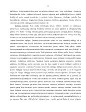 Naktinio klubo pramoginių renginių rinkodaros ypatybės 15 puslapis