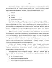 Naktinio klubo pramoginių renginių rinkodaros ypatybės 20 puslapis