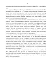 Naktinio klubo pramoginių renginių rinkodaros ypatybės 3 puslapis