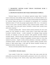 Naktinio klubo pramoginių renginių rinkodaros ypatybės 5 puslapis