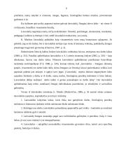 Naktinio klubo pramoginių renginių rinkodaros ypatybės 6 puslapis