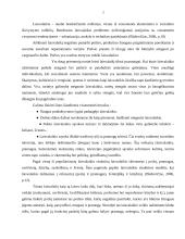 Naktinio klubo pramoginių renginių rinkodaros ypatybės 7 puslapis