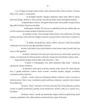 Naktinio klubo pramoginių renginių rinkodaros ypatybės 10 puslapis