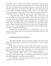 Nepilnamečių smurto priežastys ir tendencijos 12 puslapis