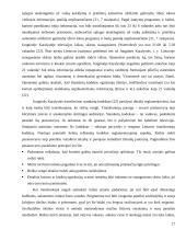 Nepilnamečių smurto priežastys ir tendencijos 17 puslapis