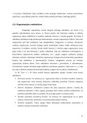 Organizacinės kultūros įtaka darbuotojų pasipriešinimui pokyčiams 15 puslapis