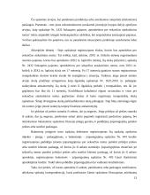 Pajamų pripažinimas, registravimas ir pateikimas 13 puslapis