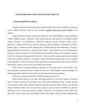 Pajamų pripažinimas, registravimas ir pateikimas 4 puslapis