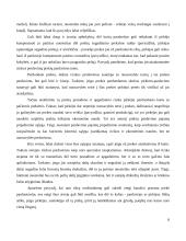 Pajamų pripažinimas, registravimas ir pateikimas 8 puslapis