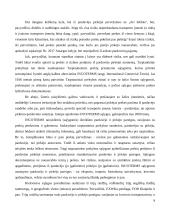 Pajamų pripažinimas, registravimas ir pateikimas 9 puslapis