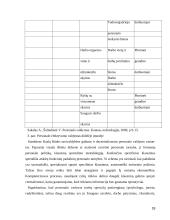 Personalo valdymo veiksmingumas Kazlų Rūdos savivaldybės administracijoje 18 puslapis