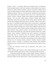 Personalo valdymo veiksmingumas Kazlų Rūdos savivaldybės administracijoje 10 puslapis