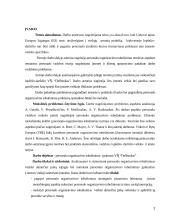 Personalo valdymo ypatumai viešojo sektoriaus įmonėse 2 puslapis