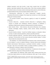 Personalo valdymo ypatumai viešojo sektoriaus įmonėse 13 puslapis