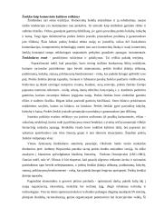 Pramoninės nuosavybės apsauga muitinėje  12 puslapis