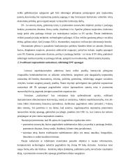 Pramoninės nuosavybės apsauga muitinėje  13 puslapis