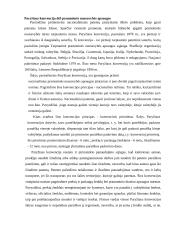 Pramoninės nuosavybės apsauga muitinėje  14 puslapis