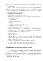 Pramoninės nuosavybės apsauga muitinėje  15 puslapis