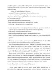 Pramoninės nuosavybės apsauga muitinėje  16 puslapis