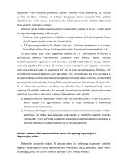 Pramoninės nuosavybės apsauga muitinėje  19 puslapis