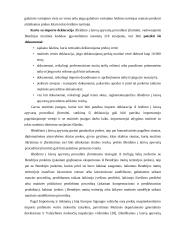 Pramoninės nuosavybės apsauga muitinėje  5 puslapis