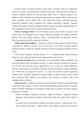 Pramoninės nuosavybės apsauga muitinėje  9 puslapis